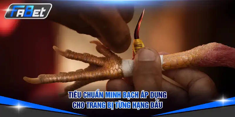 Tiêu chuẩn minh bạch áp dụng cho trang bị từng hạng đấu